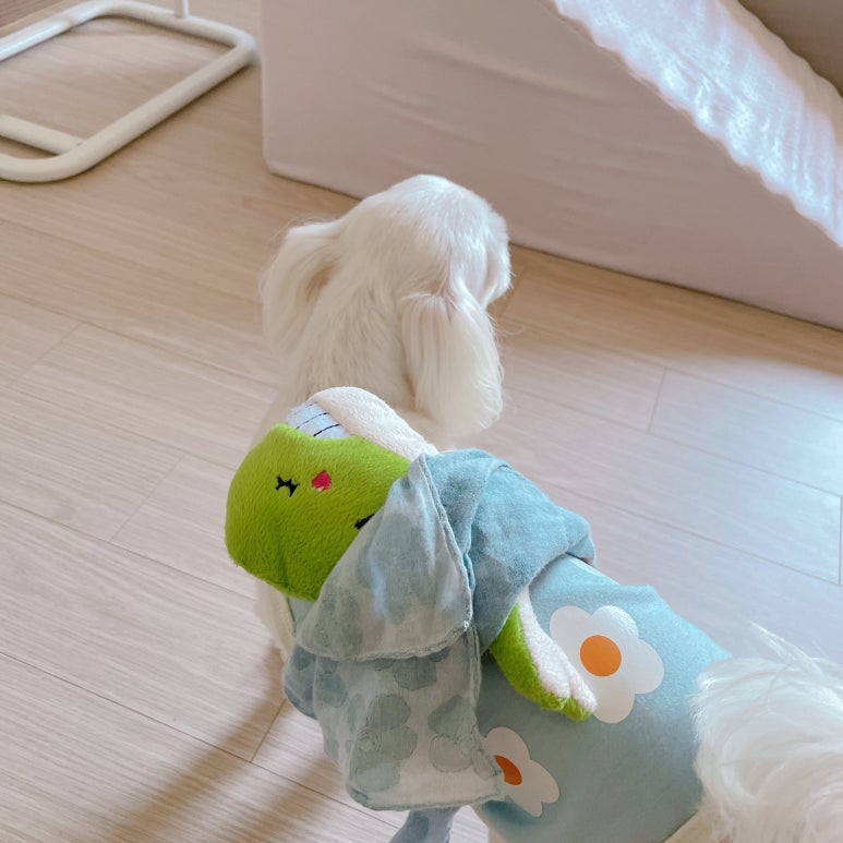 꽁이옷장 이미지