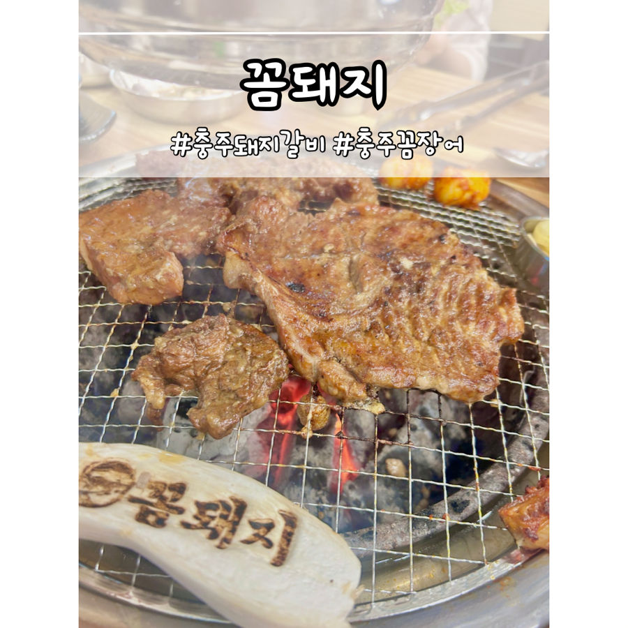 꼼돼지 이미지