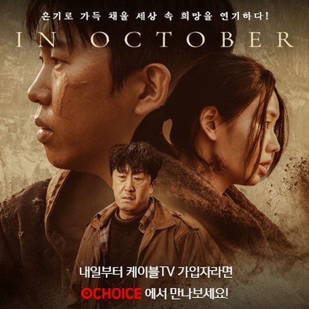 오초이스 이미지