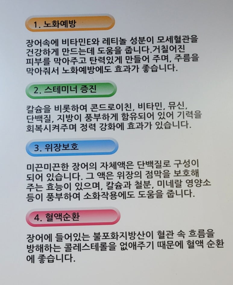 동백장어 이미지
