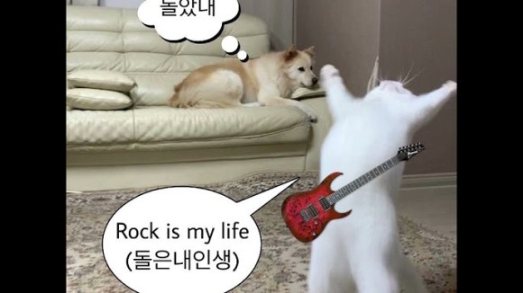 씨유넥스트 이미지