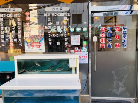독도막회 이미지