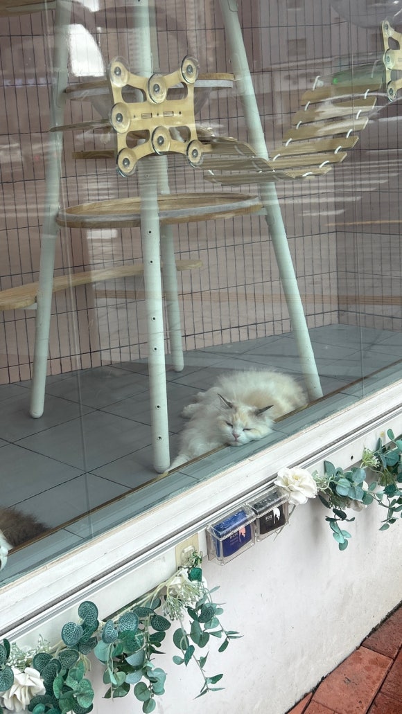 찬*이* 이미지
