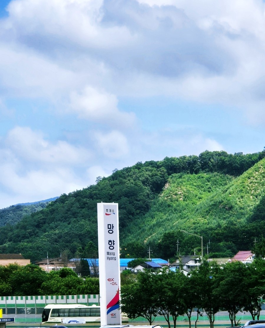 차령로3516 이미지