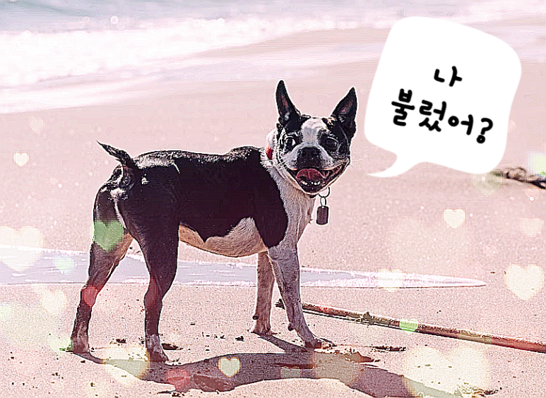 달인테리어 이미지