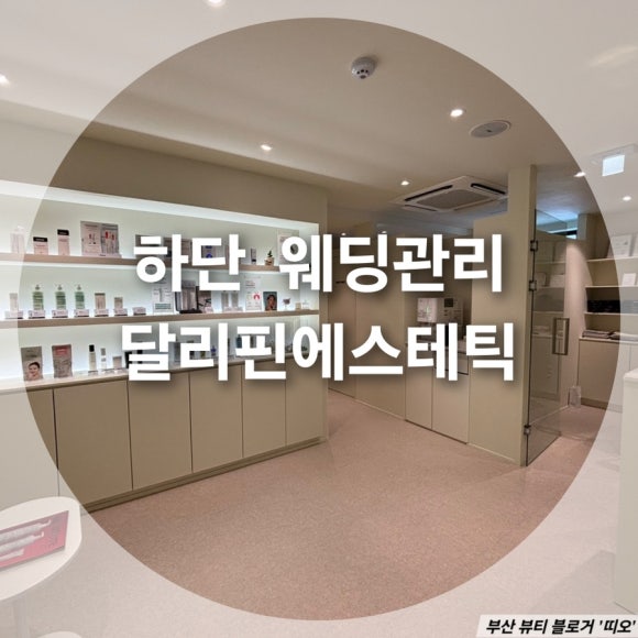 달리핀 에스테틱 이미지