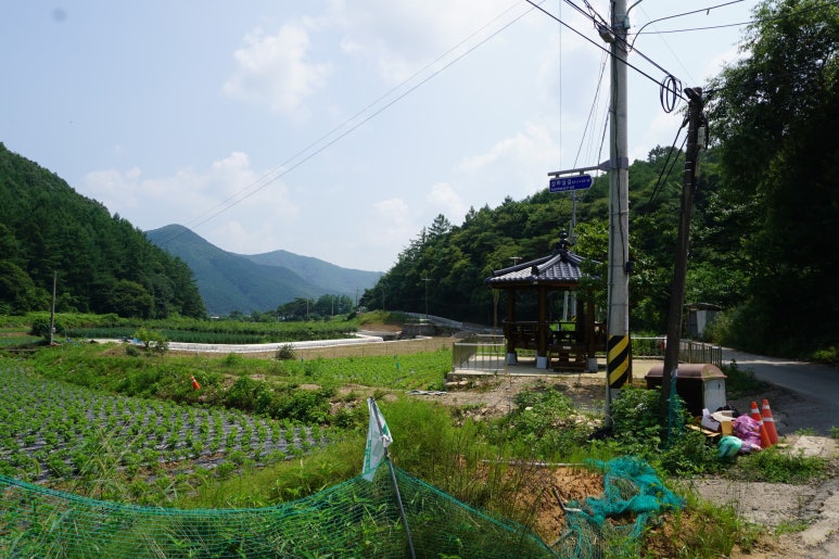 화산회관앞 이미지