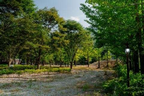 가리왕산 정원 캠핑장 이미지