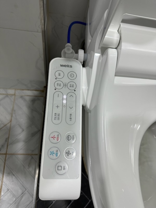웰스시 이미지