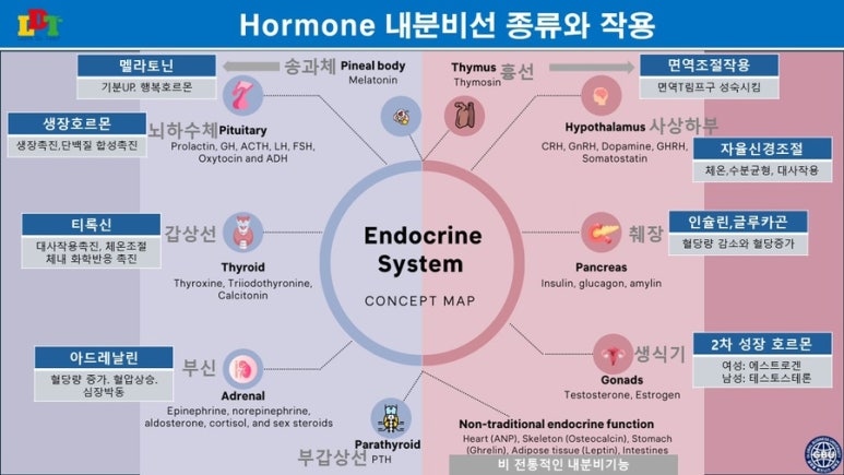 브레인코칭연구소 이미지