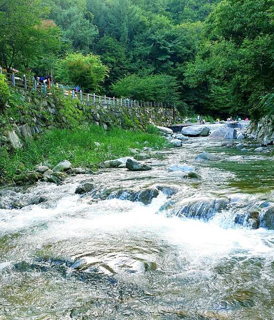 계곡메사캠핑장 이미지
