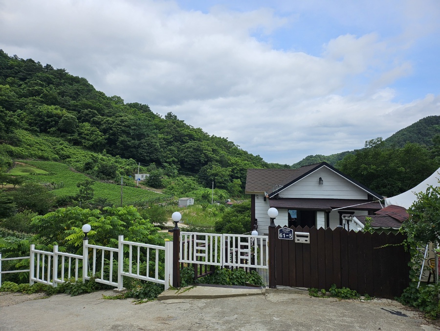 단지골몽상가 이미지