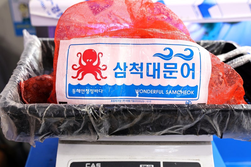문어상회 이미지