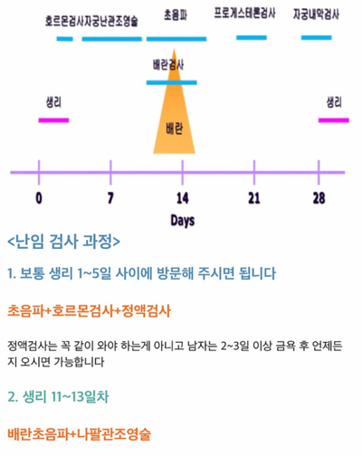 본베베여성의원 이미지