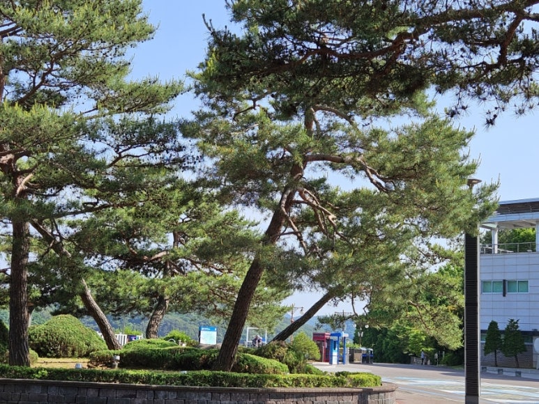 대청편의점 이미지