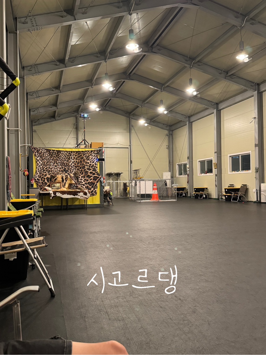시고르댕 이미지