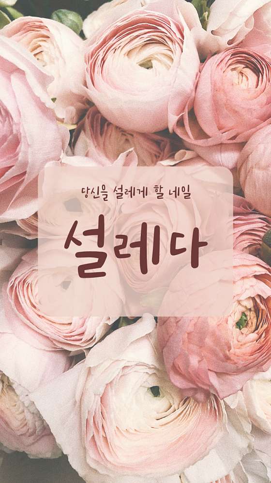 네일설레다 이미지