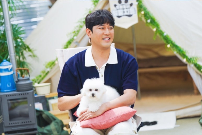 털뭉치 이미지