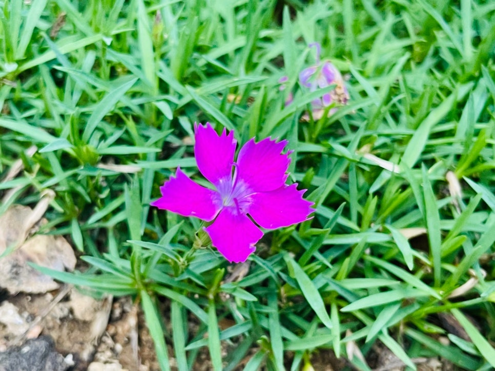 하나그린(주) 이미지