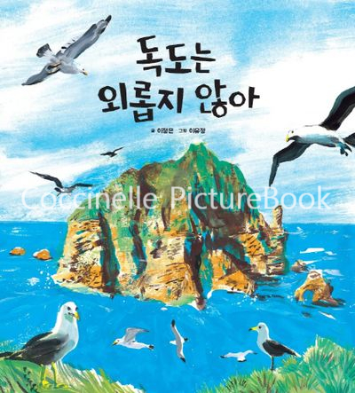 시넬 이미지