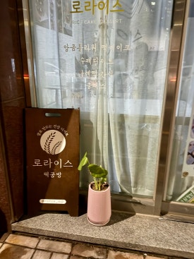 로라이스 이미지