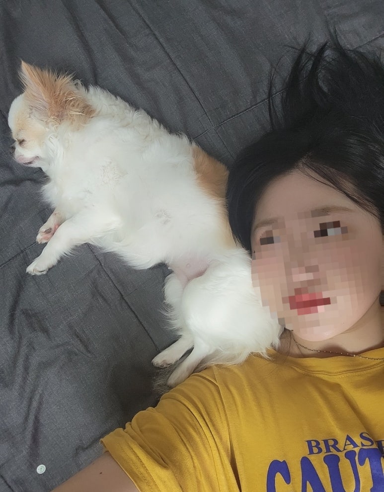 횡성댁 이미지