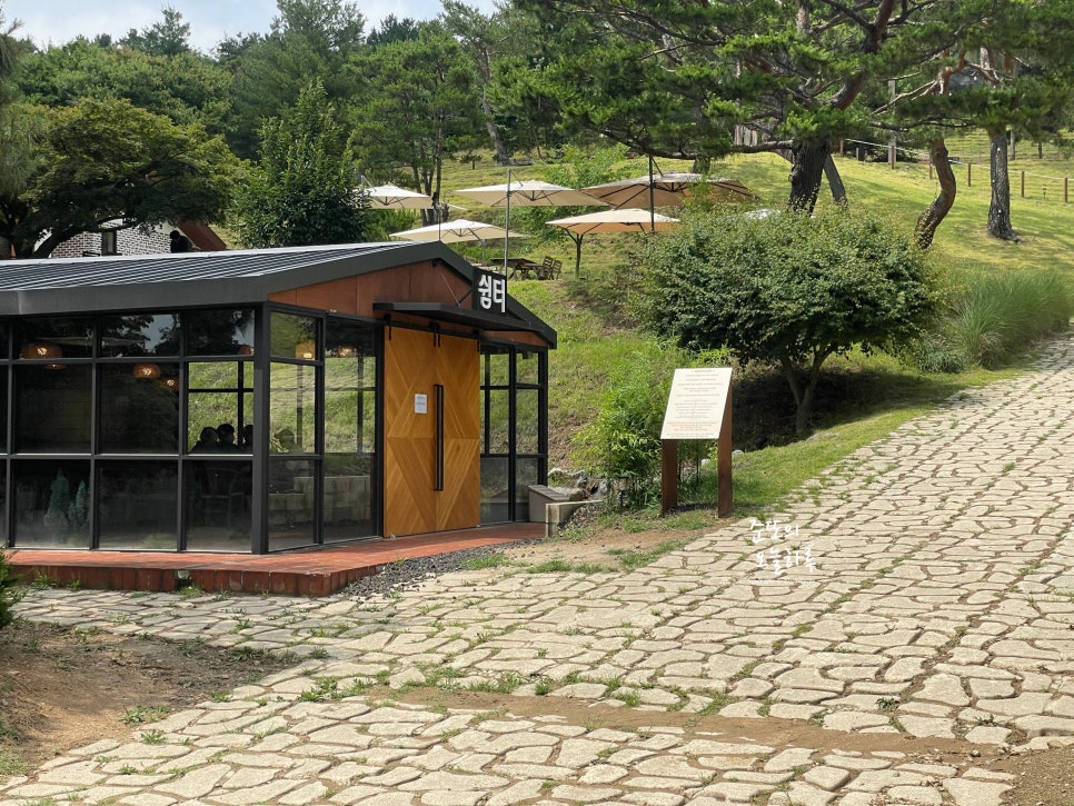 용인 기흥 애견카페 테일45, 5000평 대형견 운동장 후기 — 사진 11