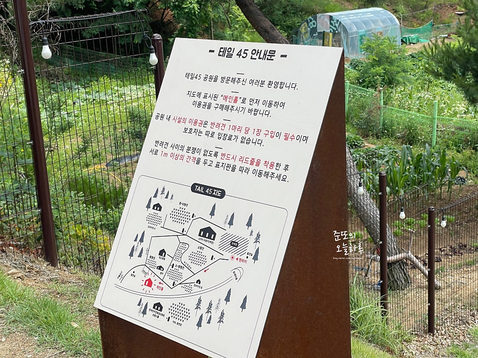 용인 기흥 애견카페 테일45, 5000평 대형견 운동장 후기 — 사진 6