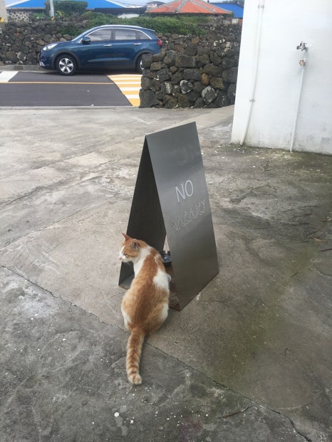 제주여행샵 이미지