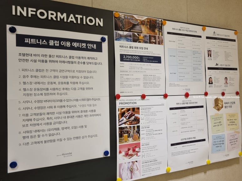 현대울산바버 이미지