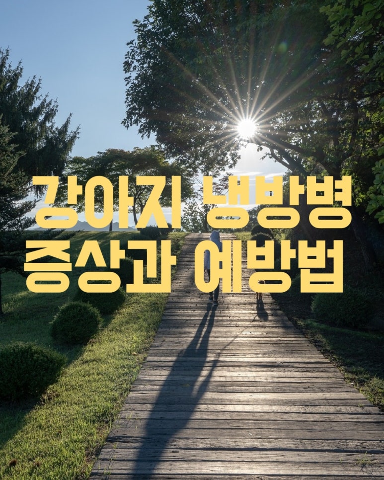 강아지 냉방병 증상과 예방법