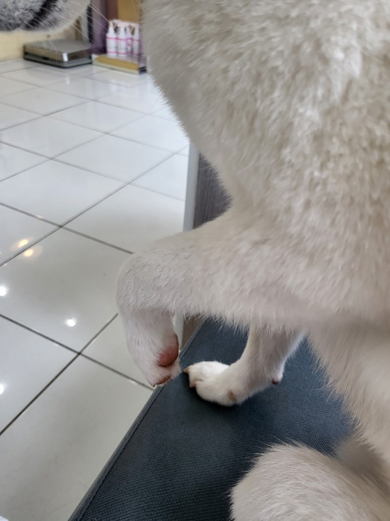 노하에너지 이미지