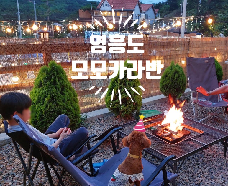 모모F 이미지