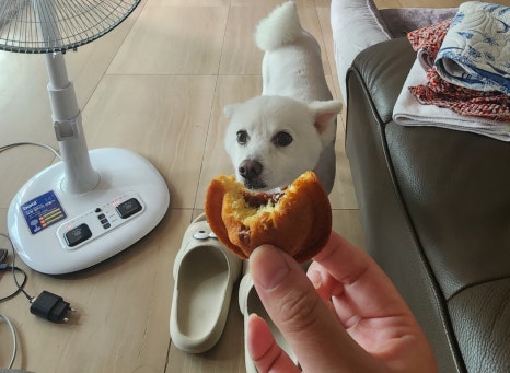 안영순베이커리카페 이미지