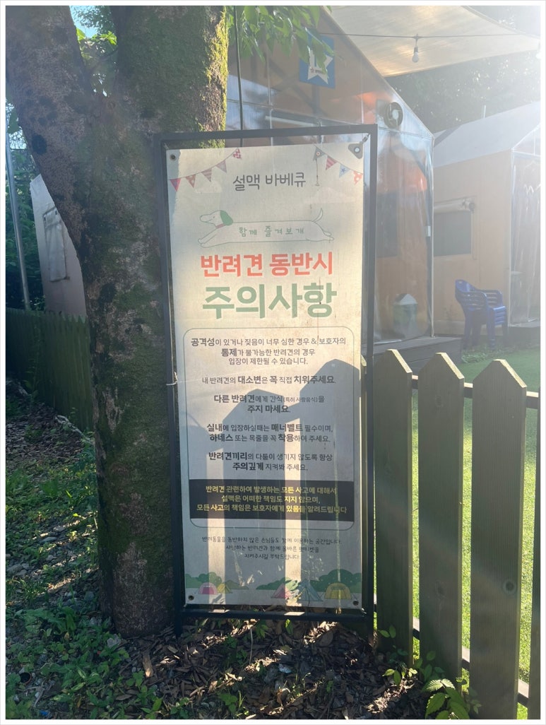 설맥 이미지