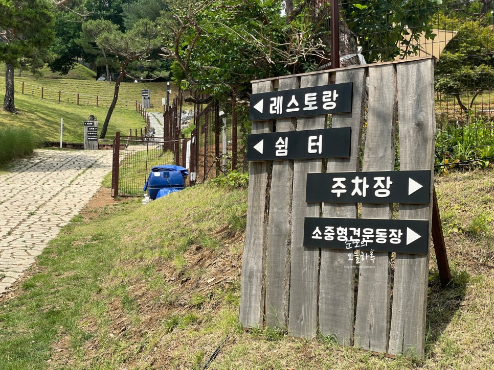 용인 기흥 애견카페 테일45, 5000평 대형견 운동장 후기 — 사진 10