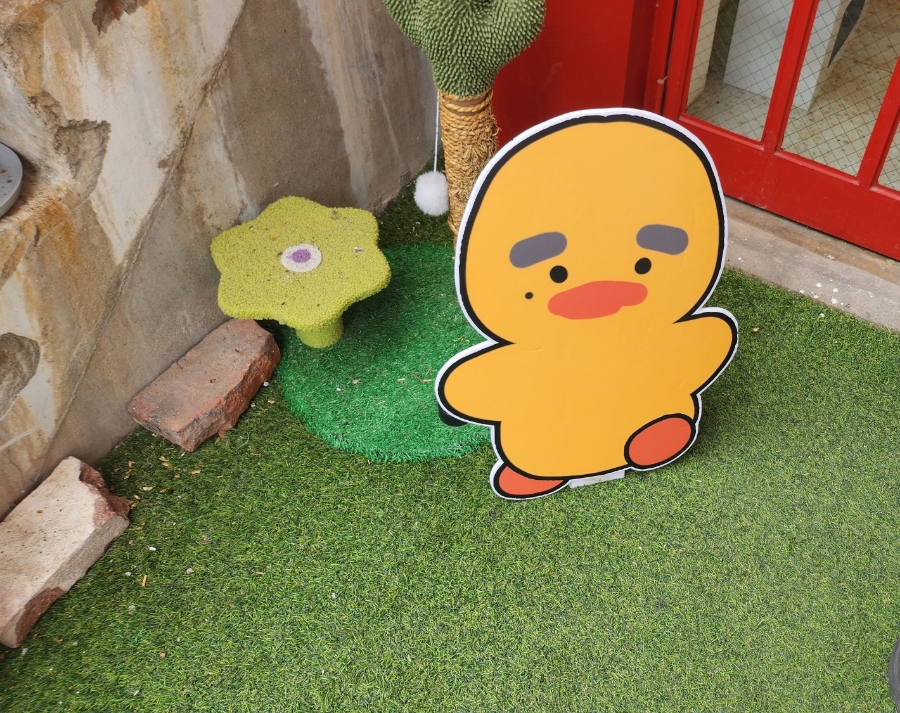 옆집이모 이미지