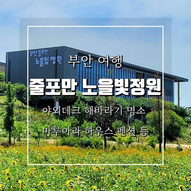 아라테크 이미지