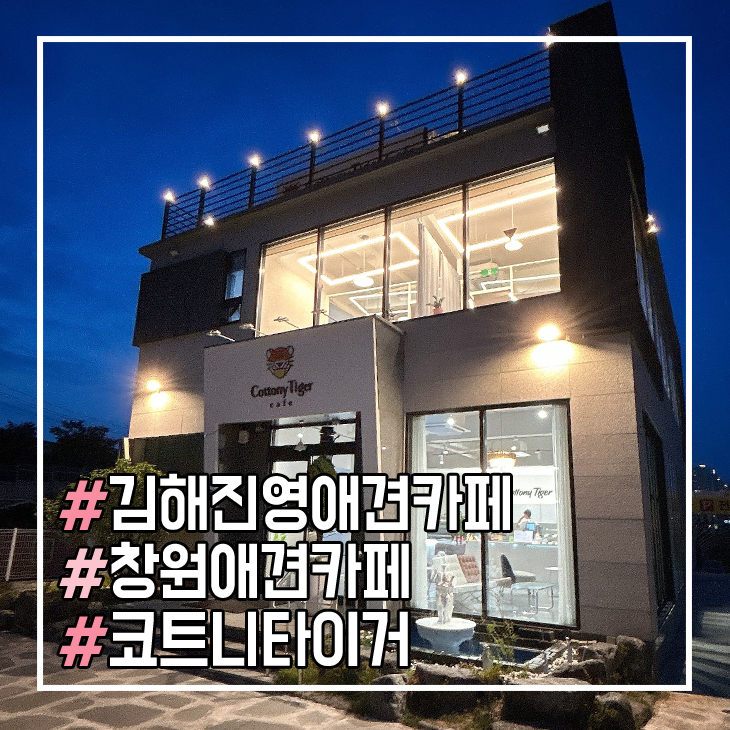 코트니타이거 이미지