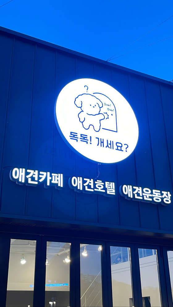 독독!개세요? 이미지