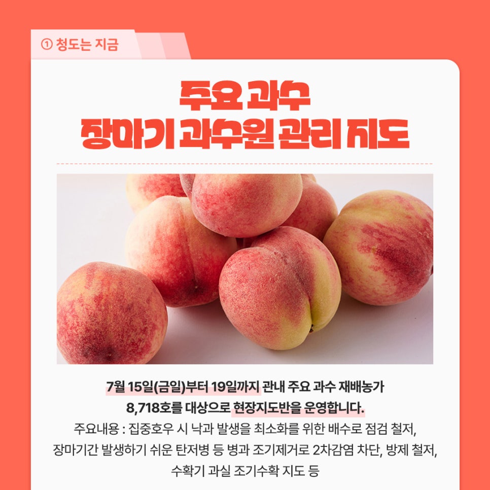 (주)비자파크 이미지