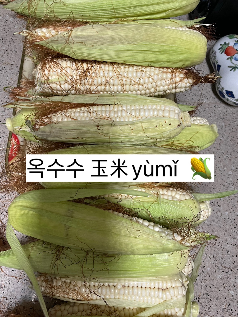 얌얌짭짭 이미지