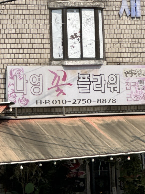 나영플라워 이미지