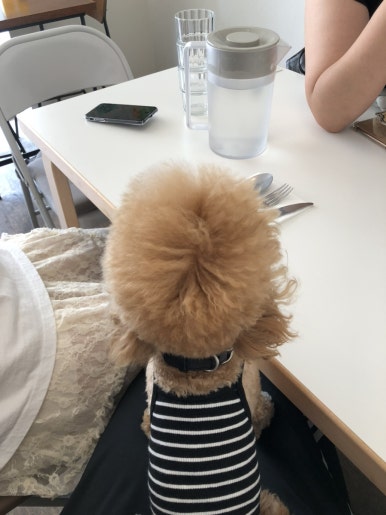 계업식 이미지