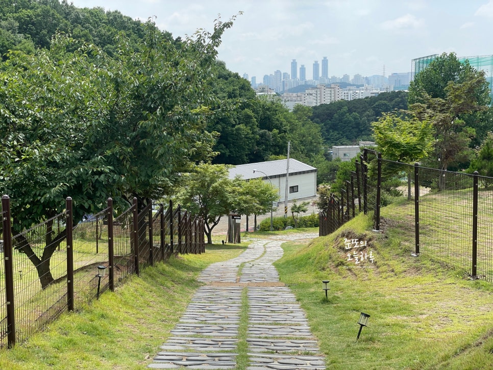 용인 기흥 애견카페 테일45, 5000평 대형견 운동장 후기 — 사진 9