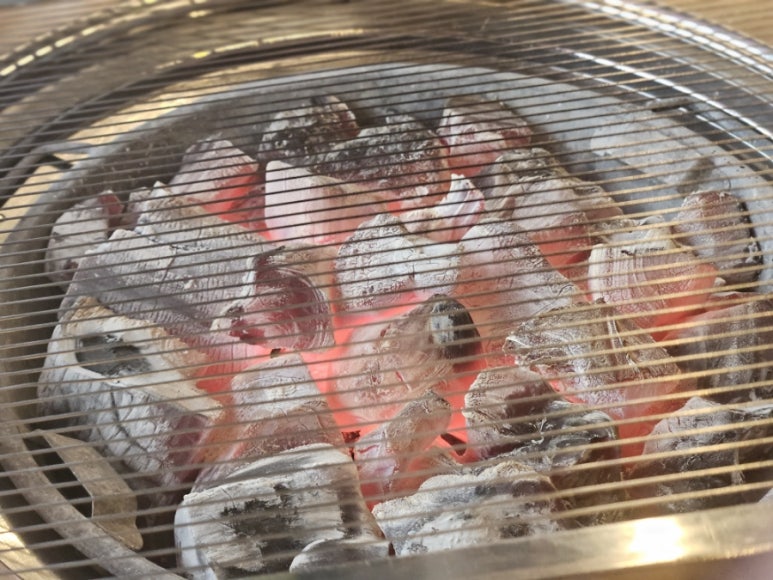 황제식껍 이미지