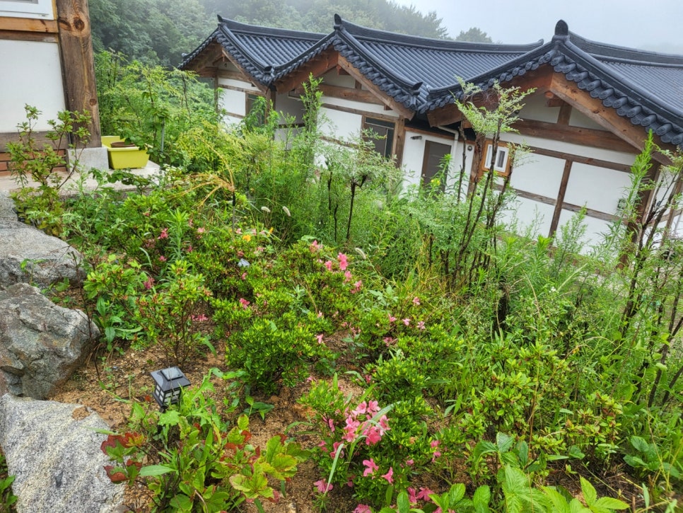 영덕한옥마을 펜션 이미지