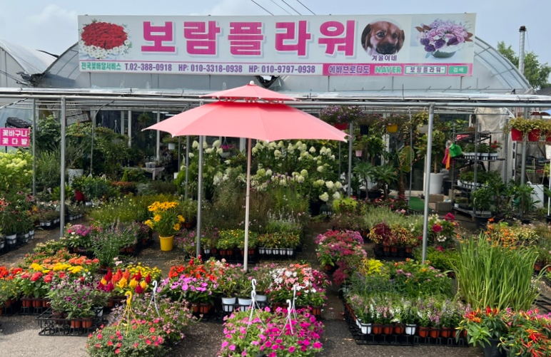 보람꽃집 이미지