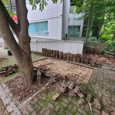 뿌리나무병원 이미지