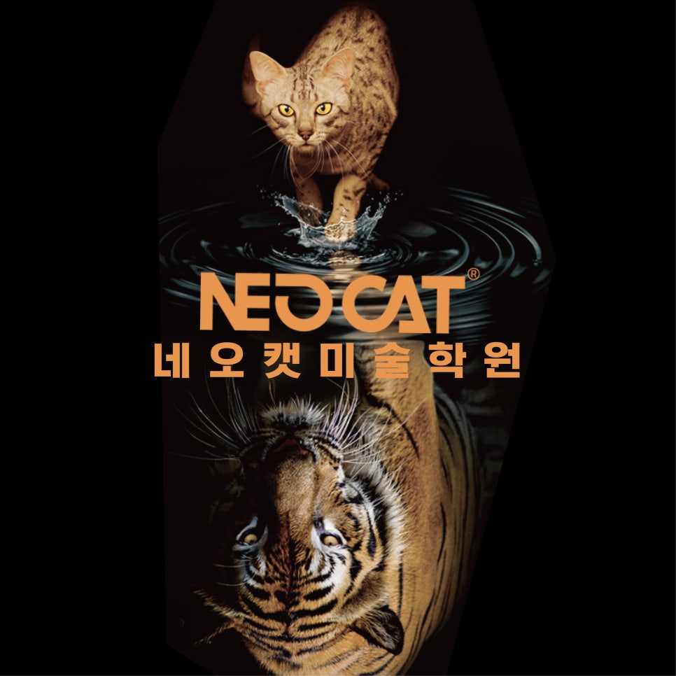 던킨도너츠양산 이미지